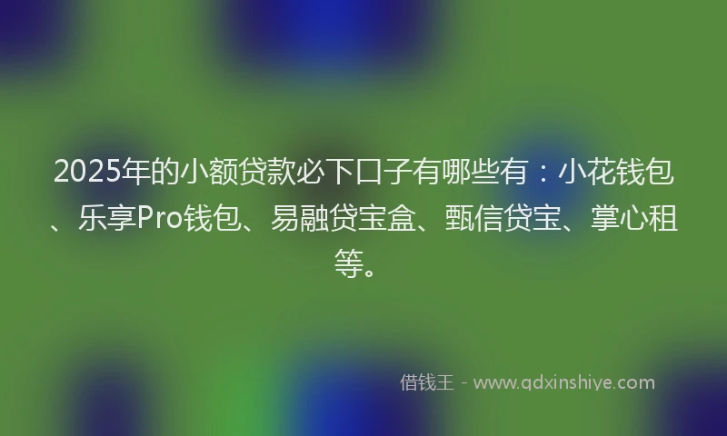 2025年的小额贷款必下口子有哪些有：小花钱包、乐享Pro钱包、易融贷宝盒、甄信贷宝、掌心租等。