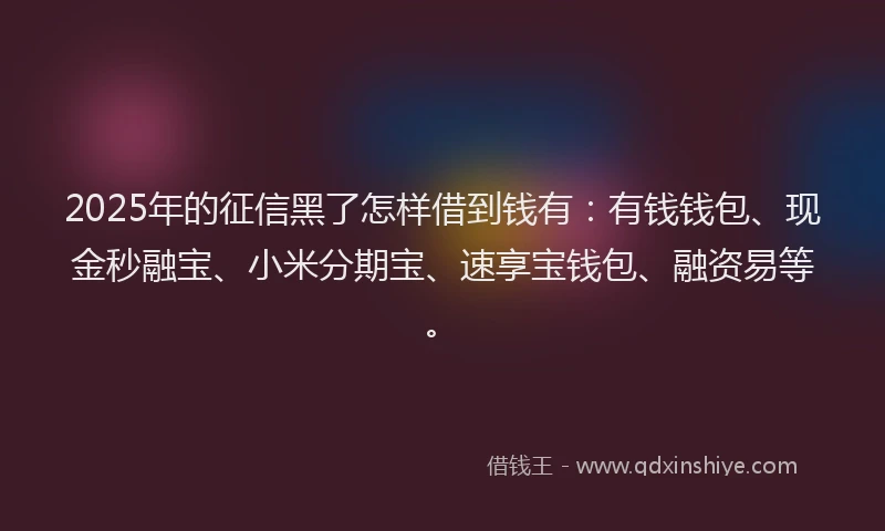 2025年的征信黑了怎样借到钱有：有钱钱包、现金秒融宝、小米分期宝、速享宝钱包、融资易等。