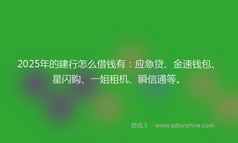 2025年的建行怎么借钱有：应急贷、金速钱包、星闪购、一姐租机、瞬信通等。