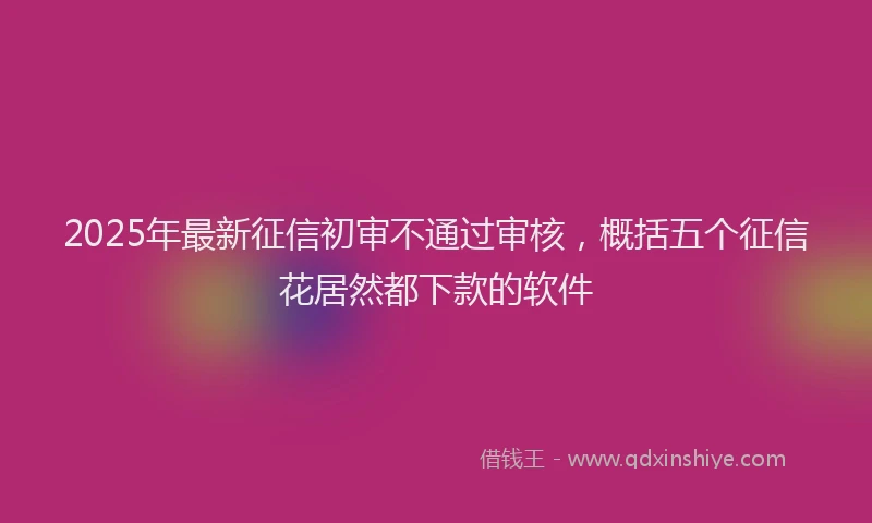 2025年最新征信初审不通过审核，概括五个征信花居然都下款的软件