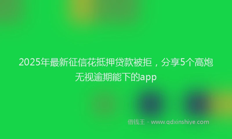 2025年最新征信花抵押贷款被拒，分享5个高炮无视逾期能下的app