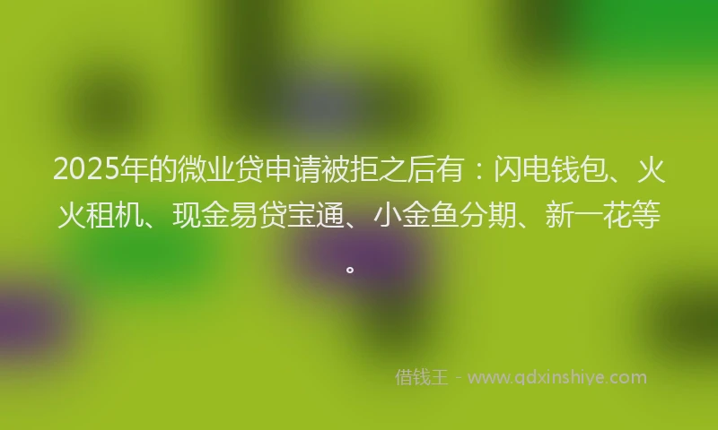 2025年的微业贷申请被拒之后有：闪电钱包、火火租机、现金易贷宝通、小金鱼分期、新一花等。