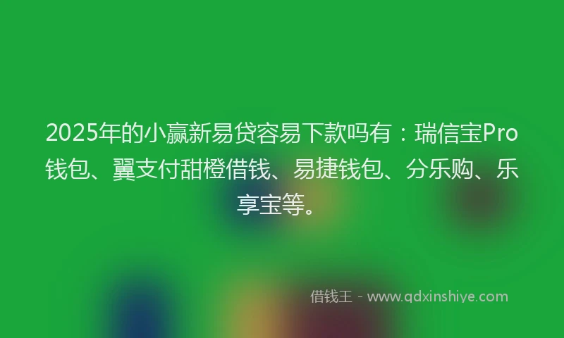 2025年的小赢新易贷容易下款吗有：瑞信宝Pro钱包、翼支付甜橙借钱、易捷钱包、分乐购、乐享宝等。