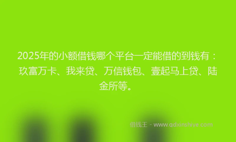 2025年的小额借钱哪个平台一定能借的到钱有：玖富万卡、我来贷、万信钱包、壹起马上贷、陆金所等。