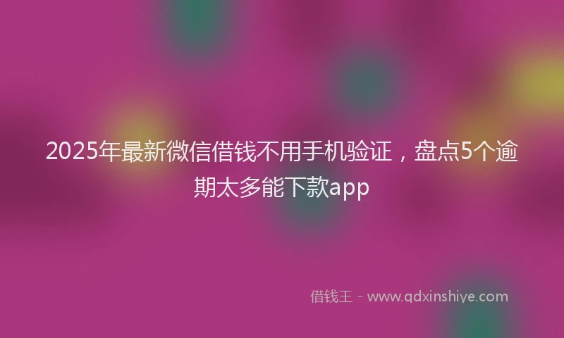 2025年最新微信借钱不用手机验证，盘点5个逾期太多能下款app