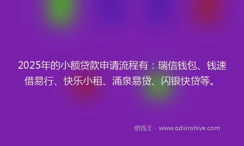 2025年的小额贷款申请流程有：瑞信钱包、钱速借易行、快乐小租、涌泉易贷、闪银快贷等。
