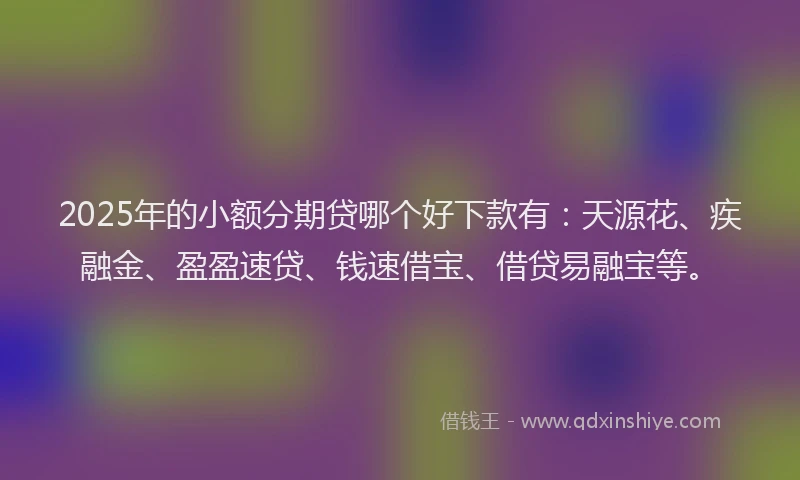 2025年的小额分期贷哪个好下款有：天源花、疾融金、盈盈速贷、钱速借宝、借贷易融宝等。