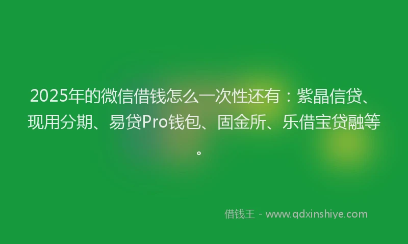 2025年的微信借钱怎么一次性还有：紫晶信贷、现用分期、易贷Pro钱包、固金所、乐借宝贷融等。