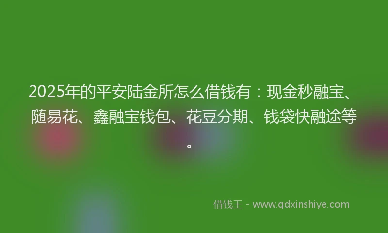 2025年的平安陆金所怎么借钱有：现金秒融宝、随易花、鑫融宝钱包、花豆分期、钱袋快融途等。