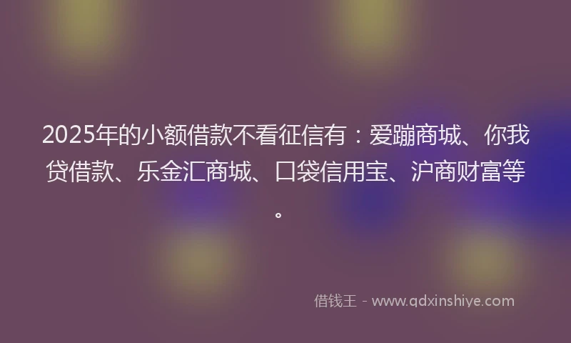2025年的小额借款不看征信有：爱蹦商城、你我贷借款、乐金汇商城、口袋信用宝、沪商财富等。