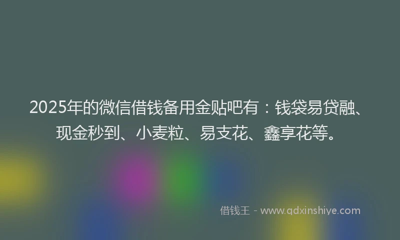 2025年的微信借钱备用金贴吧有：钱袋易贷融、现金秒到、小麦粒、易支花、鑫享花等。