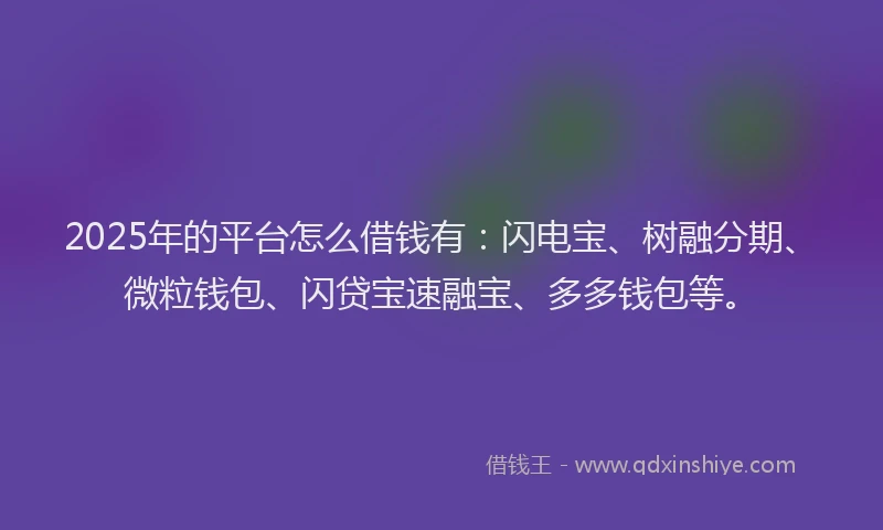 2025年的平台怎么借钱有：闪电宝、树融分期、微粒钱包、闪贷宝速融宝、多多钱包等。