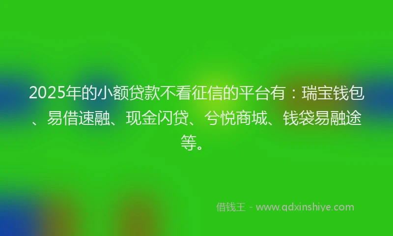 2025年的小额贷款不看征信的平台有：瑞宝钱包、易借速融、现金闪贷、兮悦商城、钱袋易融途等。