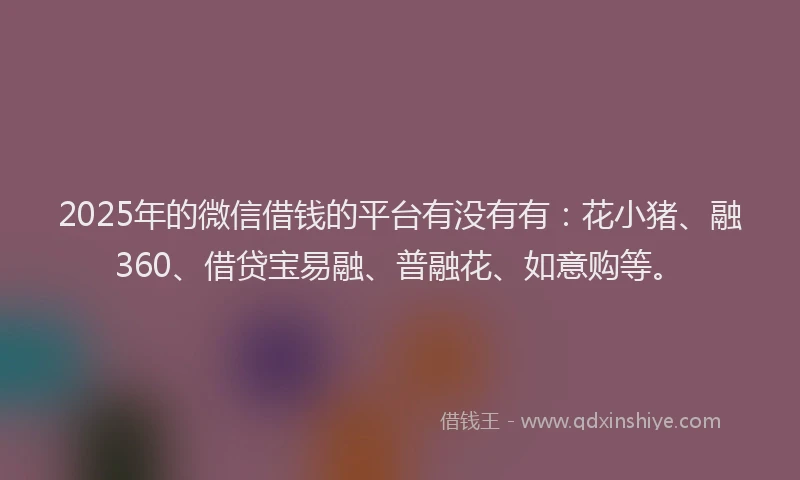 2025年的微信借钱的平台有没有有：花小猪、融360、借贷宝易融、普融花、如意购等。