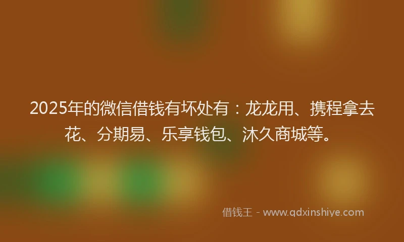 2025年的微信借钱有坏处有：龙龙用、携程拿去花、分期易、乐享钱包、沐久商城等。