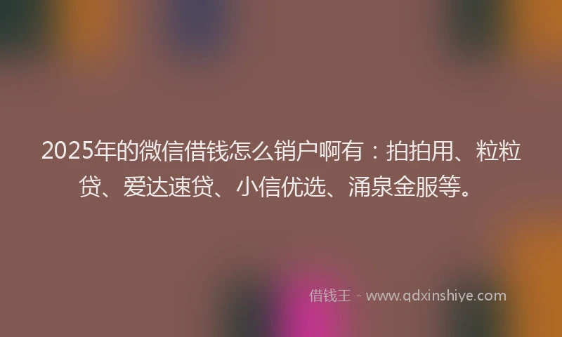 2025年的微信借钱怎么销户啊有：拍拍用、粒粒贷、爱达速贷、小信优选、涌泉金服等。