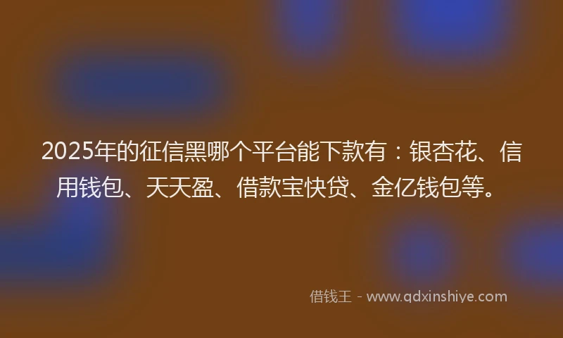 2025年的征信黑哪个平台能下款有：银杏花、信用钱包、天天盈、借款宝快贷、金亿钱包等。
