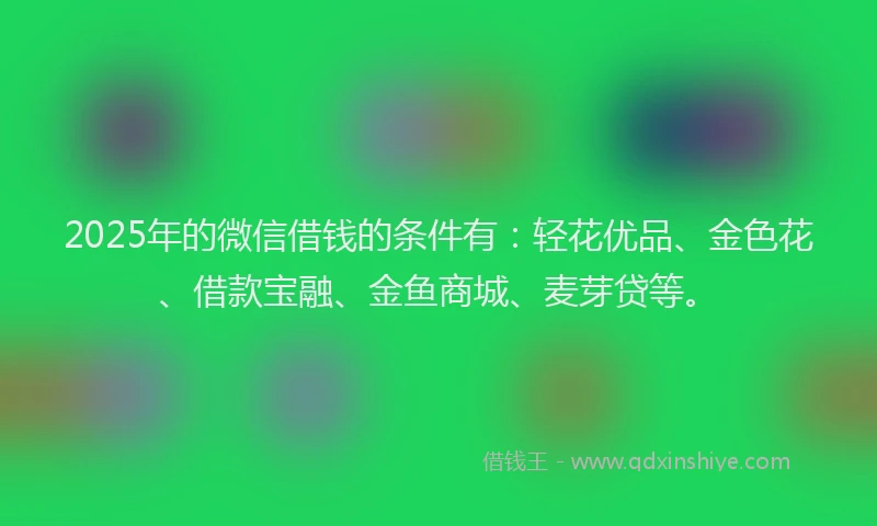 2025年的微信借钱的条件有：轻花优品、金色花、借款宝融、金鱼商城、麦芽贷等。