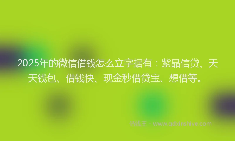2025年的微信借钱怎么立字据有：紫晶信贷、天天钱包、借钱快、现金秒借贷宝、想借等。