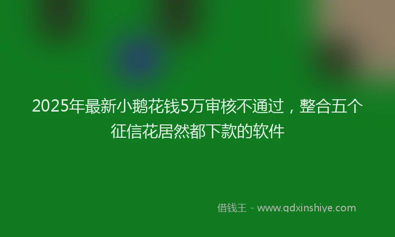 2025年最新小鹅花钱5万审核不通过，整合五个征信花居然都下款的软件