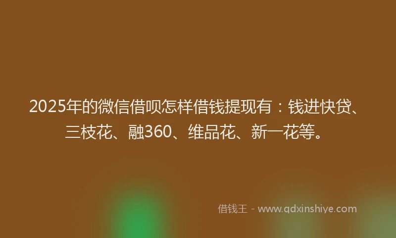 2025年的微信借呗怎样借钱提现有：钱进快贷、三枝花、融360、维品花、新一花等。