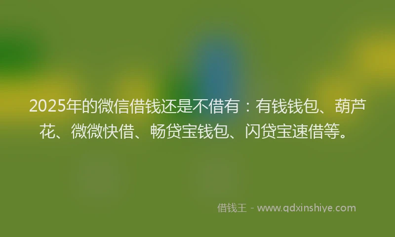 2025年的微信借钱还是不借有：有钱钱包、葫芦花、微微快借、畅贷宝钱包、闪贷宝速借等。