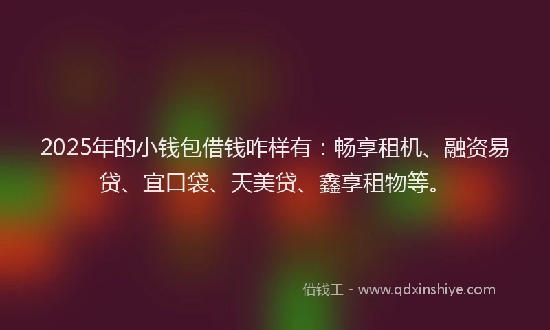 2025年的小钱包借钱咋样有：畅享租机、融资易贷、宜口袋、天美贷、鑫享租物等。