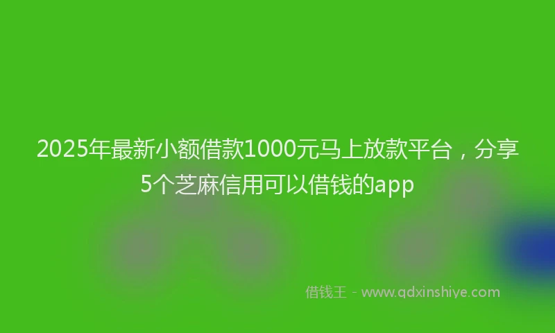2025年最新小额借款1000元马上放款平台，分享5个芝麻信用可以借钱的app