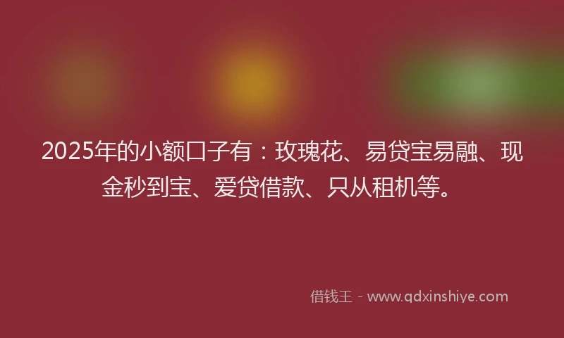 2025年的小额口子有：玫瑰花、易贷宝易融、现金秒到宝、爱贷借款、只从租机等。