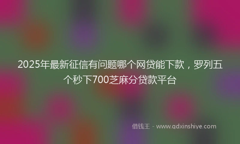 2025年最新征信有问题哪个网贷能下款，罗列五个秒下700芝麻分贷款平台