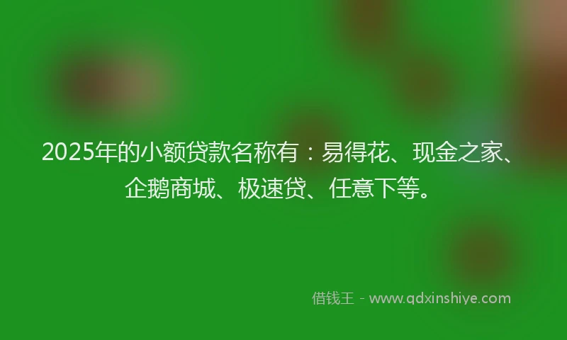 2025年的小额贷款名称有：易得花、现金之家、企鹅商城、极速贷、任意下等。