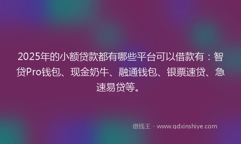 2025年的小额贷款都有哪些平台可以借款有：智贷Pro钱包、现金奶牛、融通钱包、银票速贷、急速易贷等。