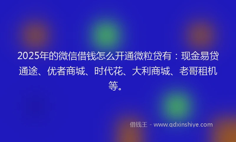 2025年的微信借钱怎么开通微粒贷有：现金易贷通途、优者商城、时代花、大利商城、老哥租机等。