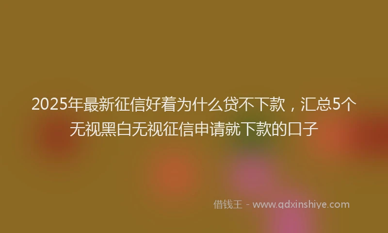 2025年最新征信好着为什么贷不下款，汇总5个无视黑白无视征信申请就下款的口子