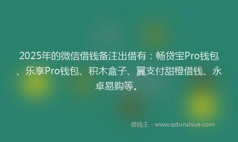 2025年的微信借钱备注出借有：畅贷宝Pro钱包、乐享Pro钱包、积木盒子、翼支付甜橙借钱、永卓易购等。