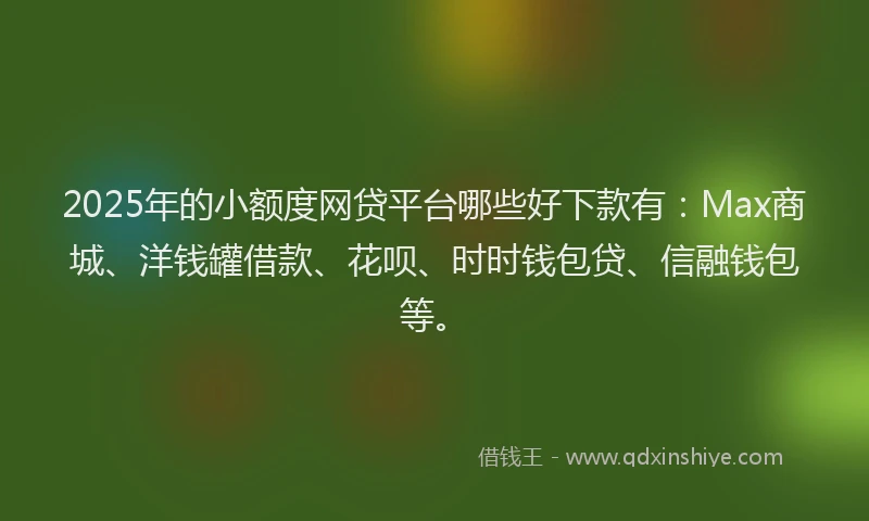 2025年的小额度网贷平台哪些好下款有：Max商城、洋钱罐借款、花呗、时时钱包贷、信融钱包等。