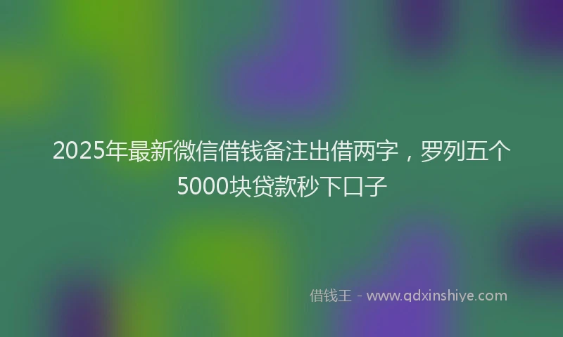 2025年最新微信借钱备注出借两字，罗列五个5000块贷款秒下口子