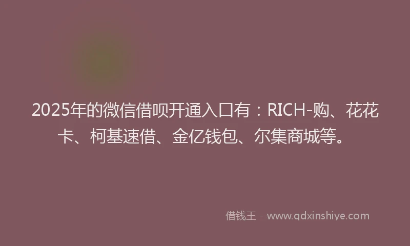 2025年的微信借呗开通入口有：RICH-购、花花卡、柯基速借、金亿钱包、尔集商城等。