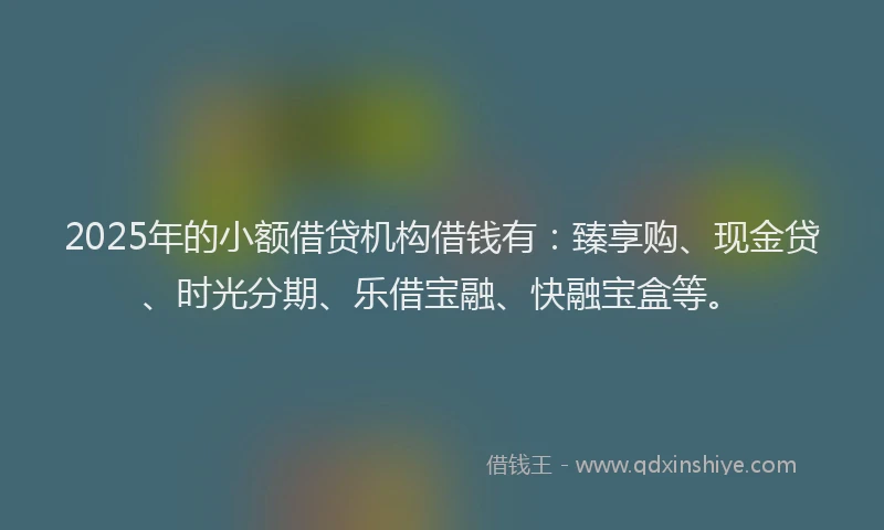 2025年的小额借贷机构借钱有：臻享购、现金贷、时光分期、乐借宝融、快融宝盒等。