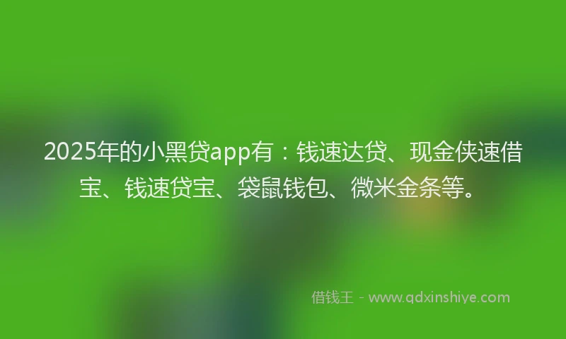 2025年的小黑贷app有：钱速达贷、现金侠速借宝、钱速贷宝、袋鼠钱包、微米金条等。