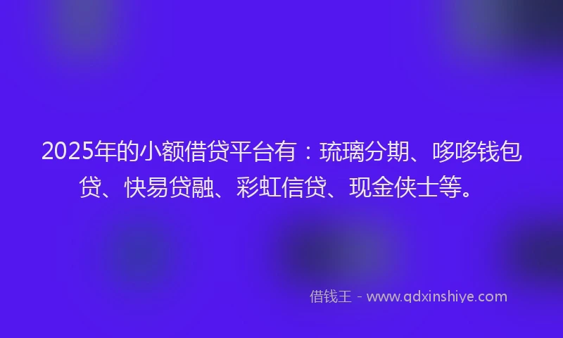 2025年的小额借贷平台有：琉璃分期、哆哆钱包贷、快易贷融、彩虹信贷、现金侠士等。