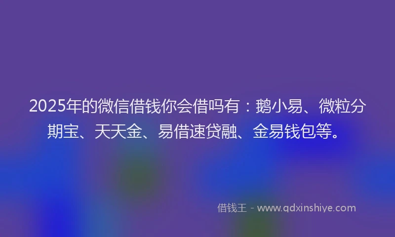 2025年的微信借钱你会借吗有：鹅小易、微粒分期宝、天天金、易借速贷融、金易钱包等。