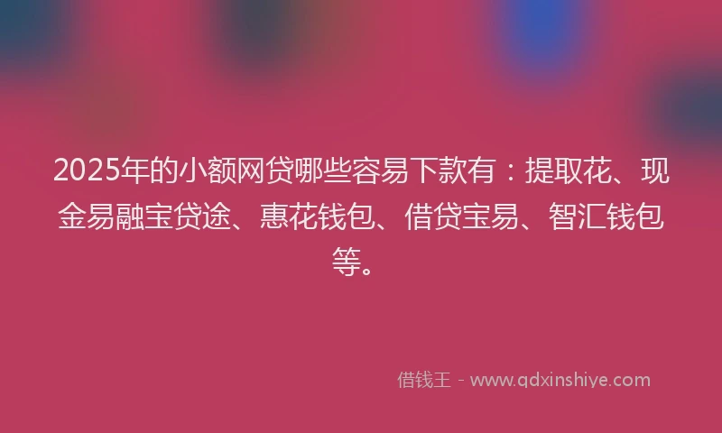 2025年的小额网贷哪些容易下款有：提取花、现金易融宝贷途、惠花钱包、借贷宝易、智汇钱包等。