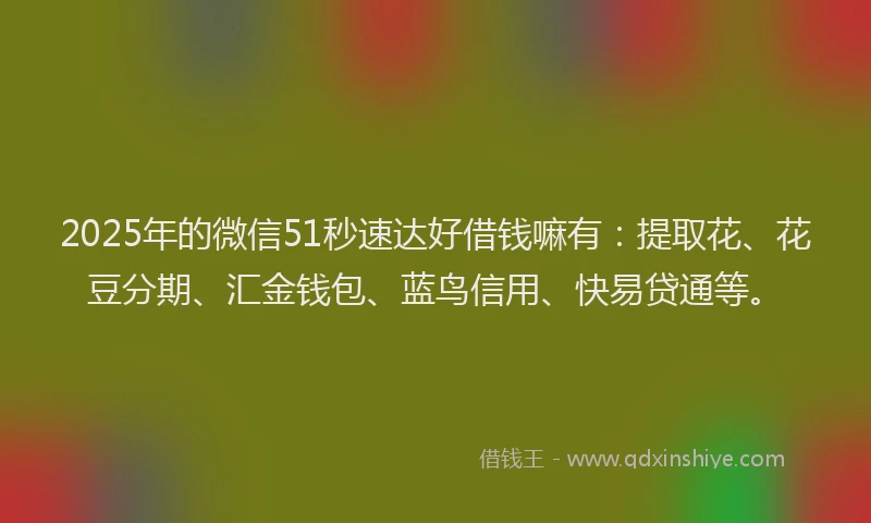 2025年的微信51秒速达好借钱嘛有：提取花、花豆分期、汇金钱包、蓝鸟信用、快易贷通等。