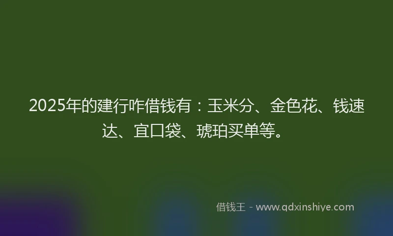 2025年的建行咋借钱有：玉米分、金色花、钱速达、宜口袋、琥珀买单等。