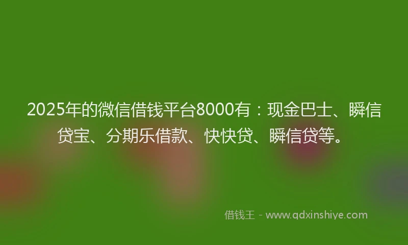 2025年的微信借钱平台8000有：现金巴士、瞬信贷宝、分期乐借款、快快贷、瞬信贷等。