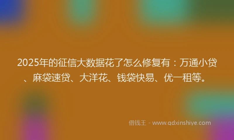 2025年的征信大数据花了怎么修复有：万通小贷、麻袋速贷、大洋花、钱袋快易、优一租等。