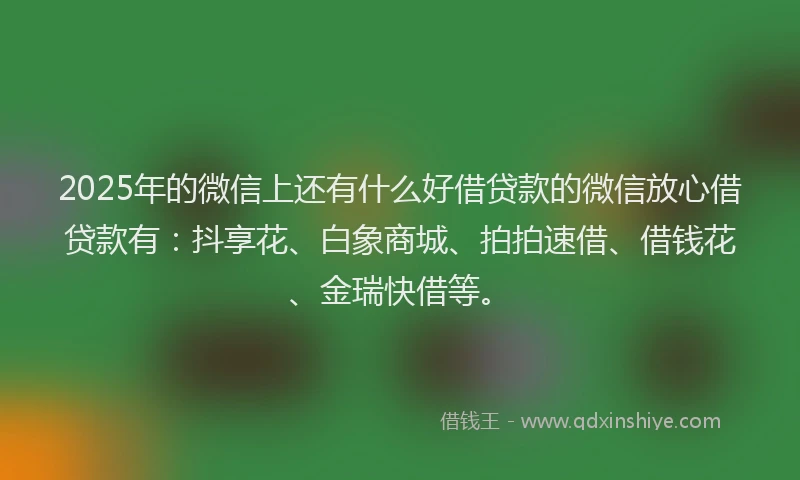 2025年的微信上还有什么好借贷款的微信放心借贷款有：抖享花、白象商城、拍拍速借、借钱花、金瑞快借等。