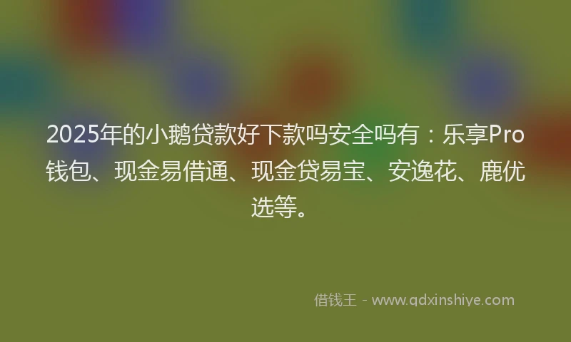 2025年的小鹅贷款好下款吗安全吗有：乐享Pro钱包、现金易借通、现金贷易宝、安逸花、鹿优选等。