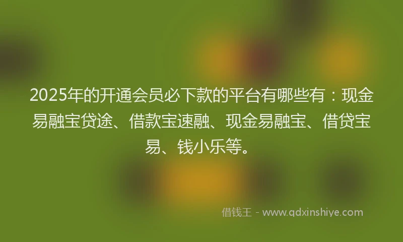 2025年的开通会员必下款的平台有哪些有：现金易融宝贷途、借款宝速融、现金易融宝、借贷宝易、钱小乐等。